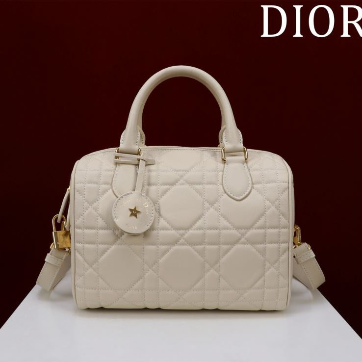 chr1st1an D10r boston bags